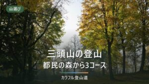 三頭山の登山｜都民の森の休園日とバスの本数から決める3コースの選び方