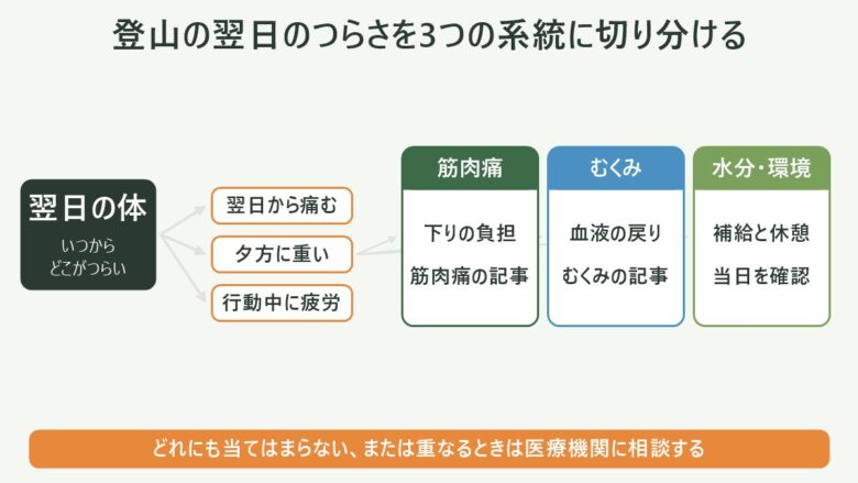 登山の翌日の疲れの図解。登山の翌日のつらさを3つの系統に切り分ける。翌日から痛むなら筋肉痛(下りの負担・筋肉痛の記事)、夕方に重いならむくみ(血液の戻り・むくみの記事)、行動中に疲労なら水分・環境(補給と休憩・当日を確認)。どれにも当てはまらない、または重なるときは医療機関に相談する