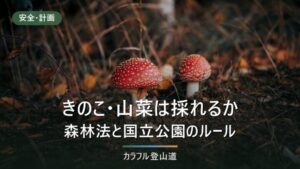 登山道のきのこ・山菜は採ってよいか｜森林法197条と国立公園の区域を確認する3手順