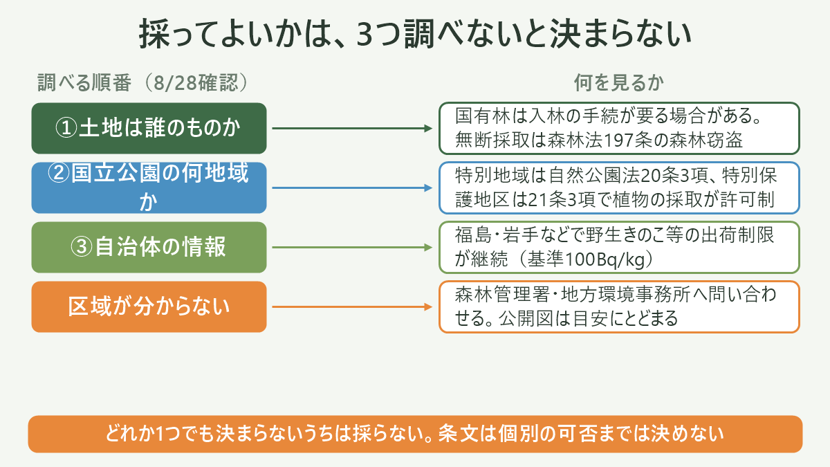 採ってよいかは、3つ調べないと決まらない。左に調べる順番(8/28確認)、右に何を見るかを並べた対応表の図解。①土地は誰のものか=国有林は入林の手続が要る場合がある。無断採取は森林法197条の森林窃盗/②国立公園の何地域か=特別地域は自然公園法20条3項、特別保護地区は21条3項で植物の採取が許可制/③自治体の情報=福島・岩手などで野生きのこ等の出荷制限が継続(基準100Bq/kg)/区域が分からない=森林管理署・地方環境事務所へ問い合わせる。公開図は目安にとどまる。図の下部に「どれか1つでも決まらないうちは採らない。条文は個別の可否までは決めない」と注記。