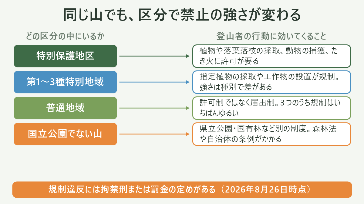 国立公園の地域区分と規制の強さを示す同心円の図解。中心に「特別保護地区(許可制・最も強い/木竹の損傷・落葉落枝の採取・動物の捕獲・たき火・指定地以外の幕営など)」、その外側に「第1種→第2種→第3種 特別地域(許可制/数字が小さいほど景観保護の必要性が高い・指定植物の採取が規制される)」、いちばん外側に「普通地域(届出制/一定規模以上の工作物などが対象)」を配置し、円の外に「国立公園の外=都道府県立自然公園の条例・国有林の制度・私有地の所有権が別にかかる」と注記を添えた図