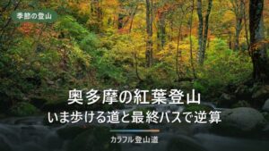 奥多摩の紅葉登山2026｜通行止め7区間といま歩ける道、最終バスから逆算する山選び
