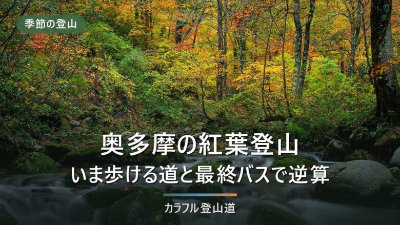 奥多摩の紅葉登山2026|通行止め7区間といま歩ける道、最終バスから逆算する山選び