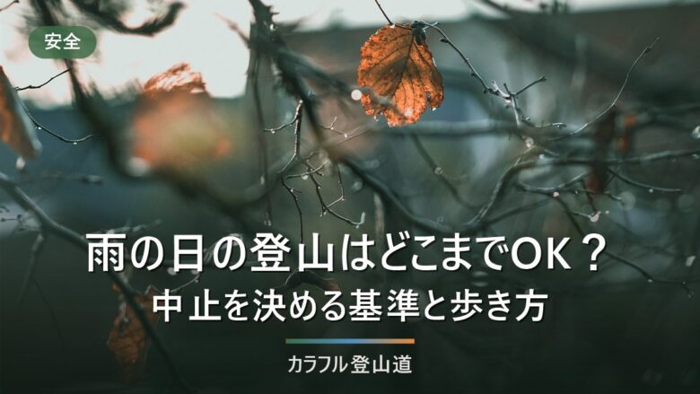 雨の日の登山はどこまでOK?中止を決める4条件と3回の判断タイミング、降られたときの歩き方