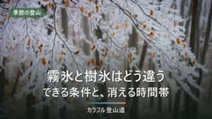 霧氷と樹氷はどう違う｜気象庁の定義3分類と、消える条件・低山の選び方