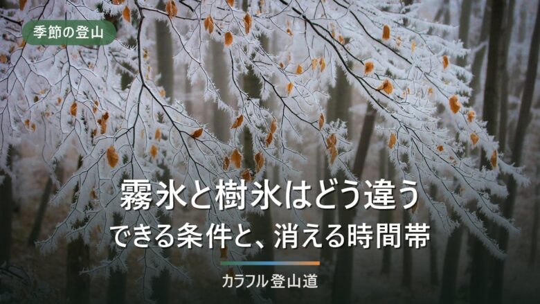 霧氷と樹氷はどう違う|気象庁の定義3分類と、消える条件・低山の選び方