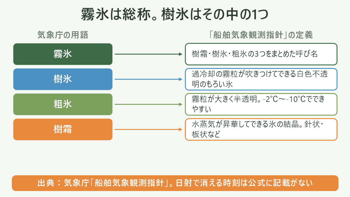 霧氷の分類関係を示す図解。上位に「霧氷(気象庁 船舶気象観測指針の定義)」の箱を置き、そこから下へ「樹霜/水蒸気の昇華・針状や板状の結晶」「樹氷/過冷却した霧粒・雲粒が吹きつけ・白色不透明でもろい」「粗氷/同じ過程だが霧粒が大きい・半透明〜透明・気温-2〜-10℃でできやすい」の3つの箱を横並びに分岐させる。3つの箱の下に見分けの手がかりとして「結晶の形が見える」「真っ白で不透明・枝の片側だけ」「ガラス質で透明感がある」を添え、右下に「一本の木に複数が混在することがある」と注記を置いた図解