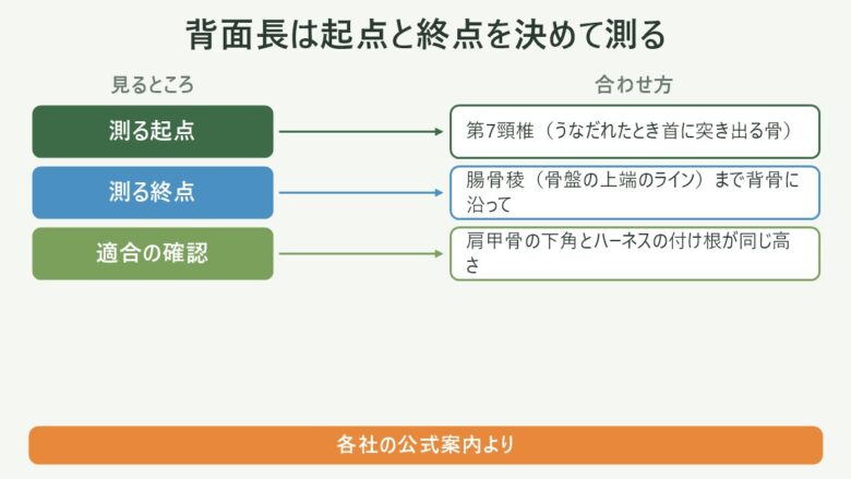 登山リュックの背面長を測る起点と終点の対応図。第7頸椎から腸骨稜まで、肩甲骨下角での適合確認