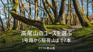 高尾山の登山コースは全7本｜初心者が1号路と稲荷山コースで迷わない選び方