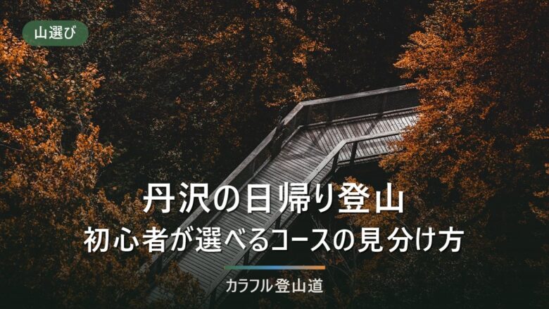 丹沢の日帰り登山|初心者が標高差とコースタイム、バス最終便で選ぶコースの見分け方