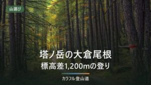 塔ノ岳の大倉尾根はどれくらいきついか｜標高差1,200mを段で分ける
