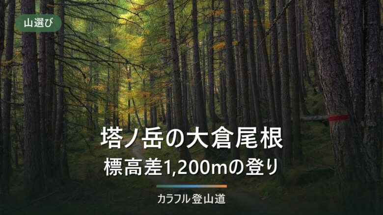塔ノ岳の大倉尾根はどれくらいきついか|標高差1,200mを段で分ける