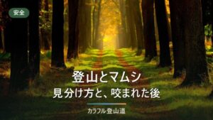 登山とマムシ・ヤマカガシ　見分け方と、咬まれた後にやること3つ
