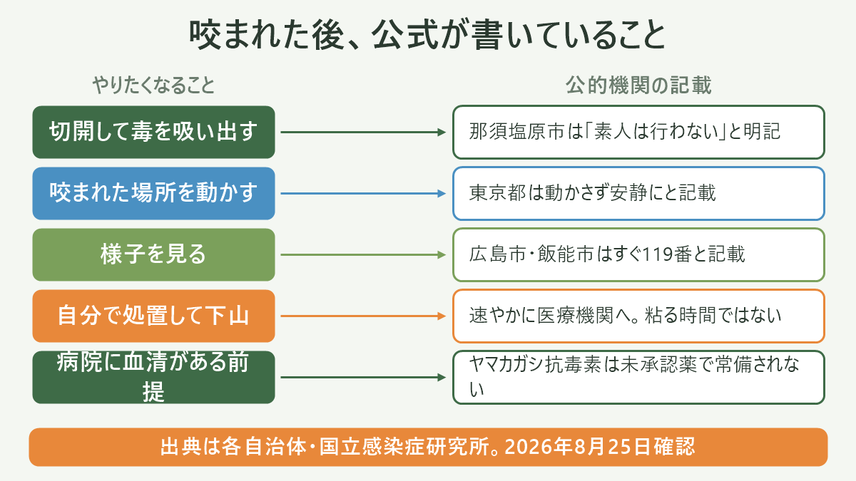 ニホンマムシとヤマカガシの見分けどころ比較図。左にマムシ(長三角形の頭・銭型斑紋・体長45〜60cm・分布は北海道含む)、右にヤマカガシ(オリーブ褐色・前半部の赤斑点・地域差が大きい・北海道には生息しない)を並べ、下部に「外見での確定は難しい/咬まれたら種類を問わず医療機関へ」と一文を置く