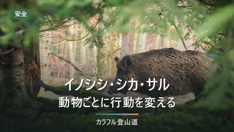 イノシシ・ニホンザル・ニホンジカに登山道で出会ったら|3種で違う行動を公式案内で整理