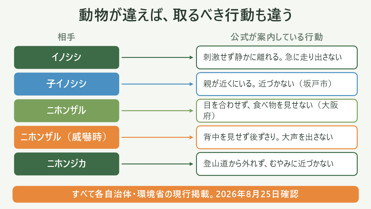イノシシ・ニホンザル・ニホンジカの3種について「遭遇直後」「視線」「体の向き」「音」「食べ物」の5場面で取るべき行動を並べ、公式記載があるものと確認できないものを色分けした比較図