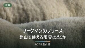 ワークマンのフリースは登山で使える？条件と限界を標高・風・汗冷えから判定
