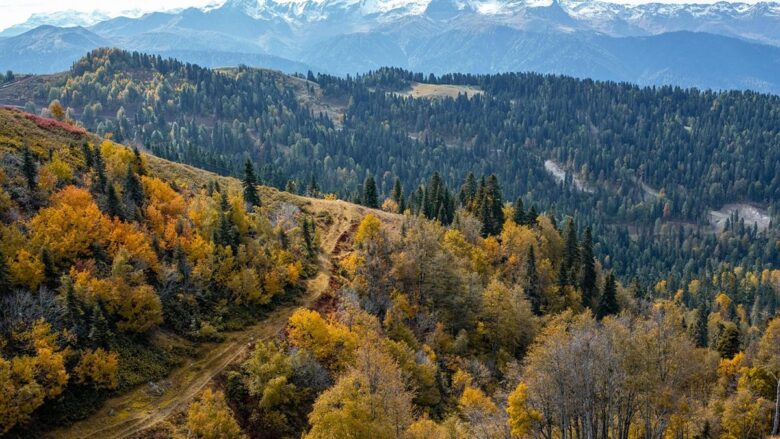 紅葉が始まった秋の登山道。9月・10月・11月で気温も装備も大きく変わる