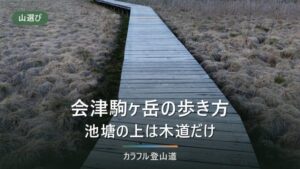会津駒ヶ岳 登山ガイド｜滝沢登山口から標高差1,033m・約3時間30分と山頂湿原のルール