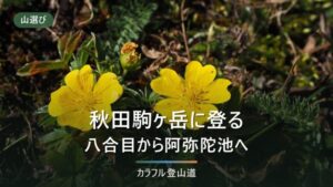 秋田駒ヶ岳は八合目から男女岳1,637mへ｜周回4時間30分と帰りのバスの締切・噴火警戒レベル1