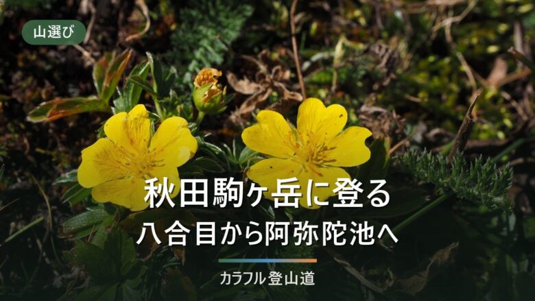 秋田駒ヶ岳は八合目から男女岳1,637mへ|周回4時間30分と帰りのバスの締切・噴火警戒レベル1