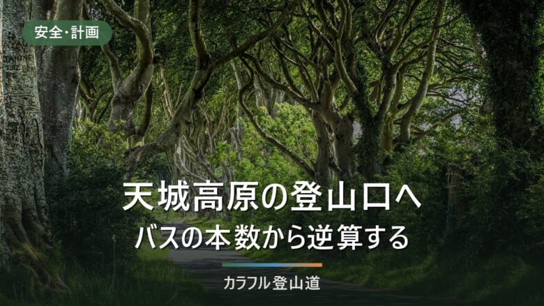 天城山の登山口アクセス|伊東駅のバスは1日3便、最終16:45から逆算する