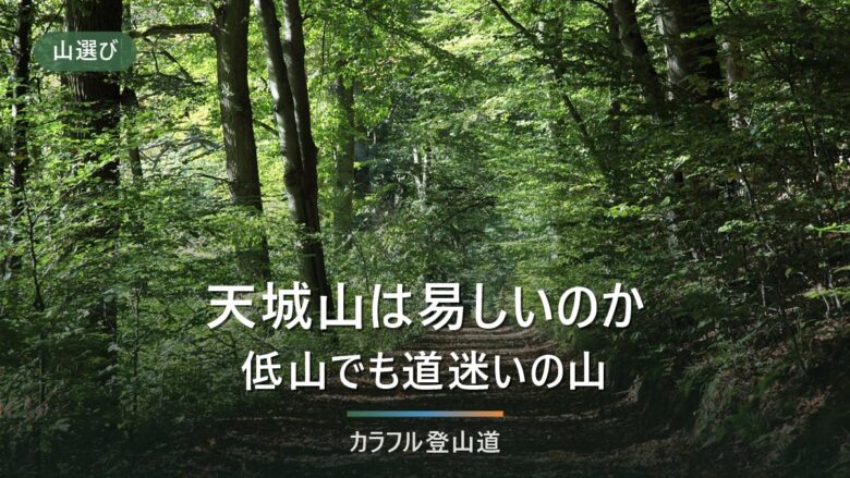 天城山の登山ガイド|1,406mを「低山」と読み違えない周回と縦走の分岐点