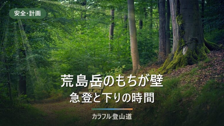 荒島岳もちがかべの急登|登り3時間30分・下り2時間30分の差と下りの足運び