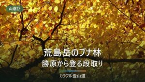 荒島岳の日帰り登山｜勝原コース登り3時間30分と下山時刻の決め方（越美北線は代行中）