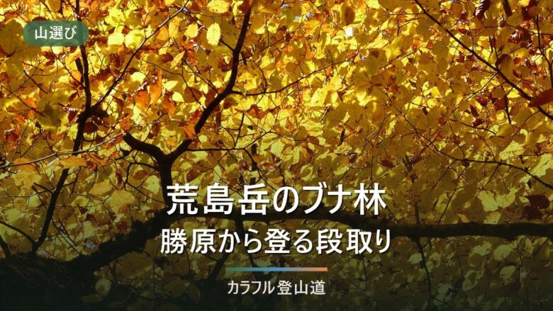 荒島岳の日帰り登山|勝原コース登り3時間30分と下山時刻の決め方(越美北線は代行中)