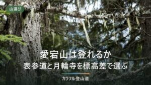 愛宕山は初心者でも登れる？清滝の表参道と月輪寺コースを標高差約700mとコースタイムで選ぶ