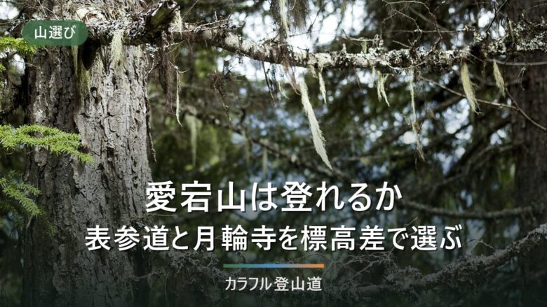 愛宕山は初心者でも登れる?清滝の表参道と月輪寺コースを標高差約700mとコースタイムで選ぶ