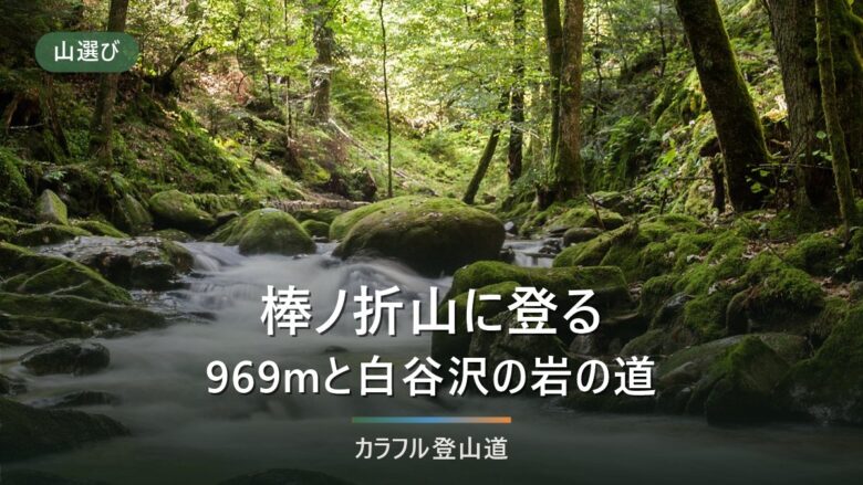 棒ノ折山(棒ノ嶺)969m|白谷沢の沢沿いの道と3つの登山口、冬の日没と凍結への備え