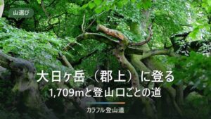 大日ヶ岳（1,709m）の登山口3つ｜ダイナランドは登り3時間、手続きと駐車場の違い