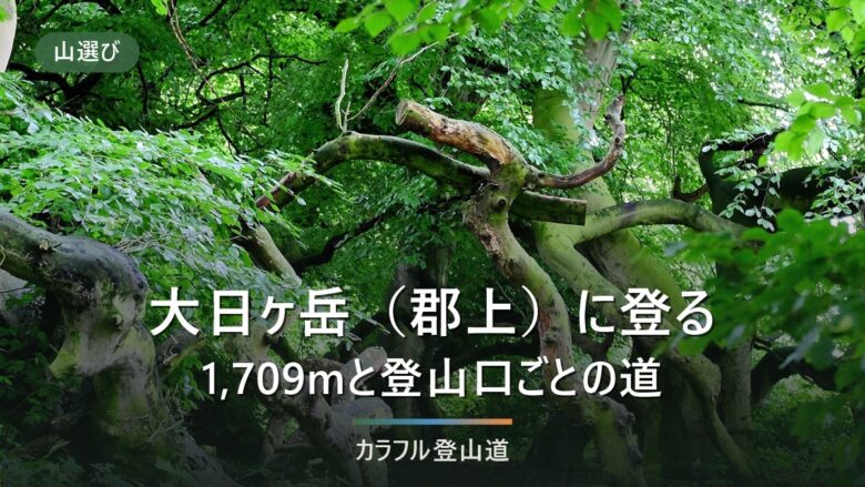 大日ヶ岳(1,709m)の登山口3つ|ダイナランドは登り3時間、手続きと駐車場の違い