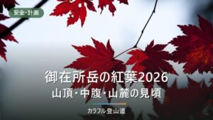 御在所岳の紅葉2026年｜山頂10月中旬から山麓まで1か月ずれる見頃とロープウエイ待ち
