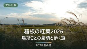 箱根の紅葉2026はいつ見頃？仙石原・元箱根・強羅・湯本の4か所と大涌谷の通行止め