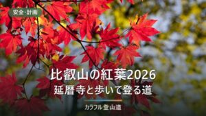 比叡山の紅葉2026｜例年10月中旬〜11月中旬、延暦寺の最終受付15:45とケーブル最終便