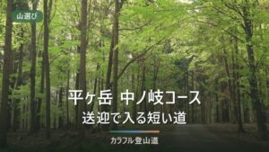 平ヶ岳の中ノ岐コースは送迎5名から｜鷹ノ巣の登り約6時間30分と分ける条件