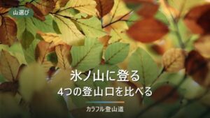 氷ノ山の4つの登山口｜大段ヶ平1時間40分・東尾根4.0km、道ごとの違いと出発前の確認