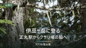 伊豆ヶ岳851mの登山ガイド｜正丸駅から山頂2時間30分、男坂と女坂の県公式の扱い