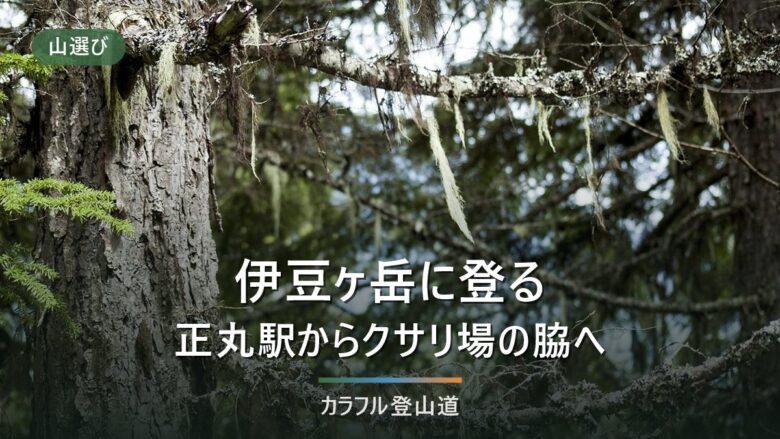 伊豆ヶ岳851mの登山ガイド|正丸駅から山頂2時間30分、男坂と女坂の県公式の扱い