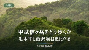 甲武信ヶ岳の登山ルート比較｜毛木平と西沢渓谷、片道4時間の道をどう選ぶか