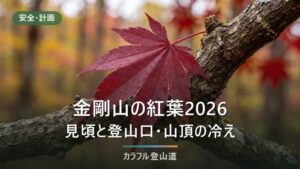 金剛山の紅葉2026｜見頃の目安と標高1,125mへの登り方、ロープウェイ廃止後のバス・駐車場