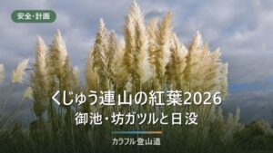 くじゅう連山〈九重〉の紅葉2026｜見頃の目安と長者原約450台・日の入17時台の下山計画