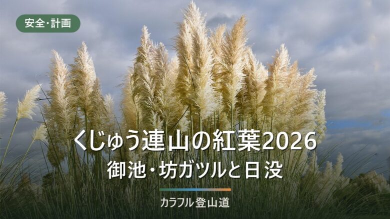 くじゅう連山〈九重〉の紅葉2026|見頃の目安と長者原約450台・日の入17時台の下山計画