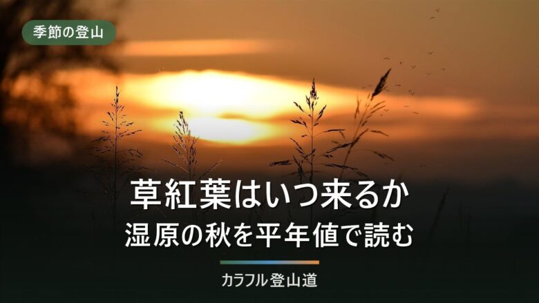 草紅葉とは何か|尾瀬・会津駒ヶ岳の平年目安と桧枝岐9月の平年値で決める服装