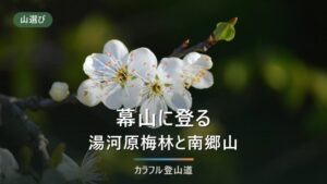 幕山（湯河原・626m）登山は梅の宴でバスの行き先が変わる｜南郷山・自鑑水と冬の日没