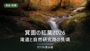 箕面の紅葉2026｜見頃は例年11月中旬〜12月初旬、滝道片道40〜50分と駐車場・規制の確認先