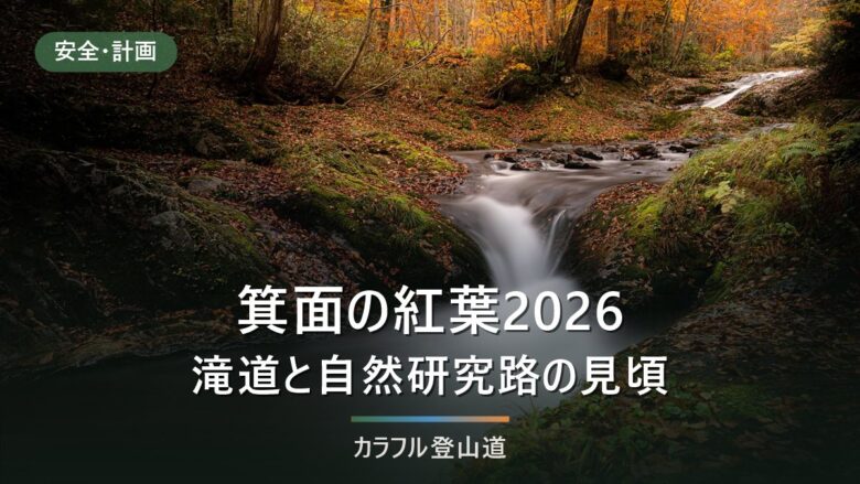 箕面の紅葉2026|見頃は例年11月中旬〜12月初旬、滝道片道40〜50分と駐車場・規制の確認先
